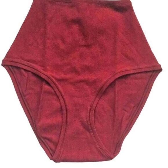 SKIMS COTTON BRIEF PANTY NWT - Picture 1 of 9